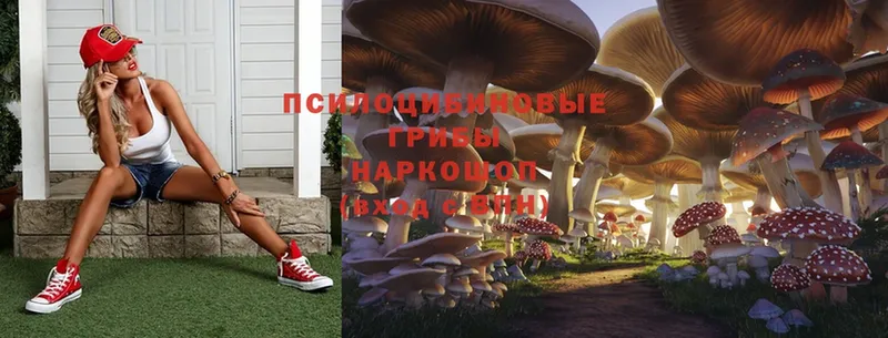 Галлюциногенные грибы Magic Shrooms  где купить наркотик  Зея 